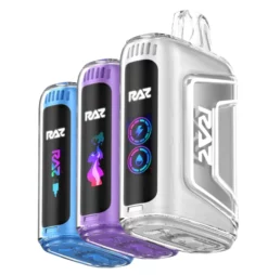 RAZ Vape TN9000 Disposable